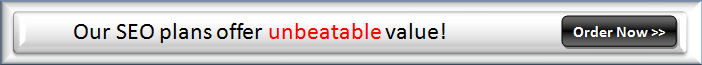 Our SEO plans offer unbeatable value! Order Now >>