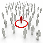 Search Engine Optimisation